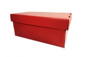 CAIXA ORGANIZADORA SAPATO GOLDEN KRAFT