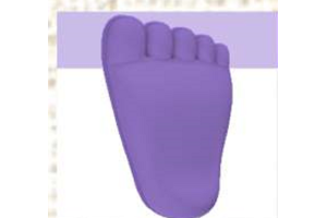 MASSA DE BISCUIT LILAS 90G POLYCOL