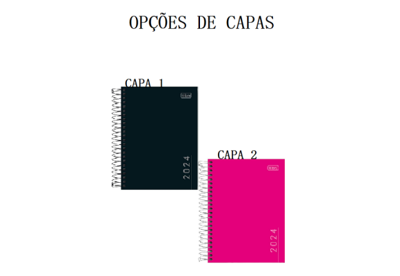 https://colegiooficina.papelariapremium.com.br/image/cache/data/eftr/Img_ftr_rp_409301-580x400.PNG